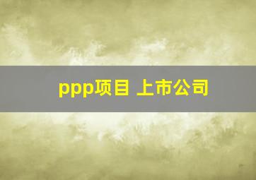 ppp项目 上市公司